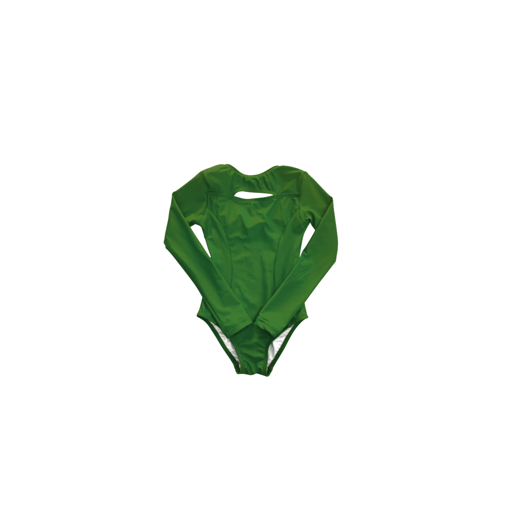 'Skylar Long Sleeve' Leotard - Iguana